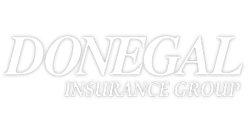 donegal insurance group